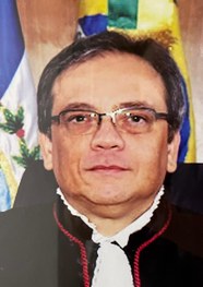 Currículo do Desembargador Luiz Paulo da Silva Araújo Filho Currículo do Desembargador Luiz Paulo da Silva Araújo Filho