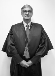 Henrique Carlos de Andrade Figueira