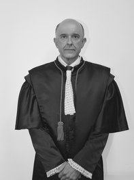 Ricardo Perlingeiro